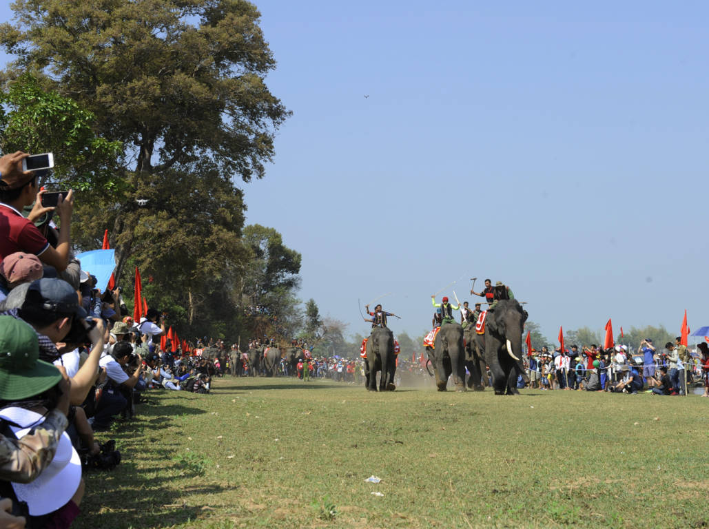 Lễ hội đua voi và đua thuyền độc mộc